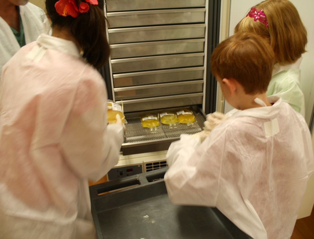 Putting the newly separated plasma into the blast freezer! Putting the newly separated plasma into the blast freezer!