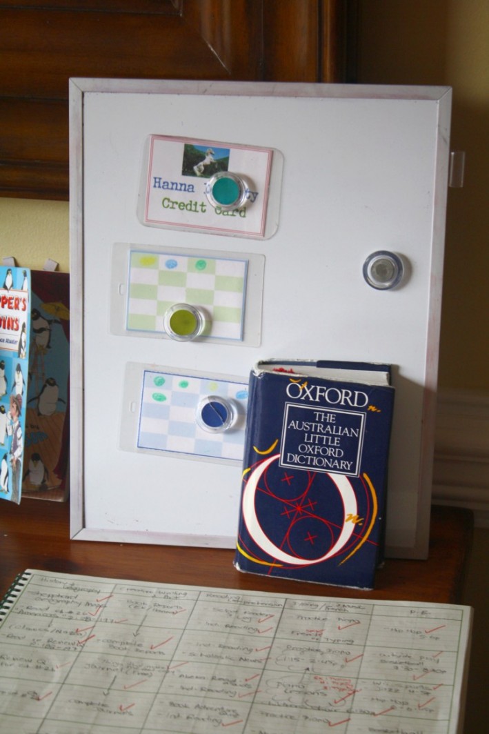 Did I mention how much I love being in charge of selecting our classroom resources?
